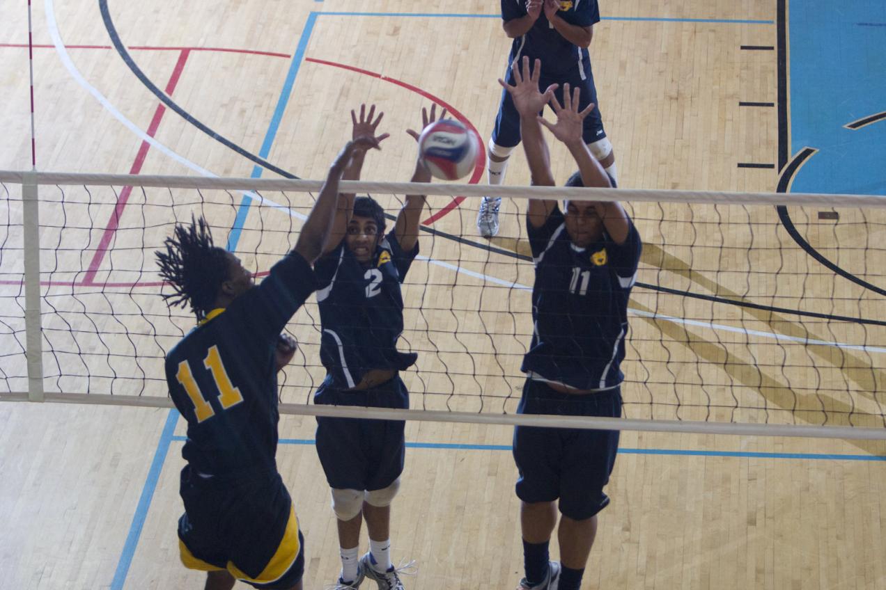 Bears Volleyball Closes Regular Season on Four-Game Streak Upending Medgar Evers in Straight Sets