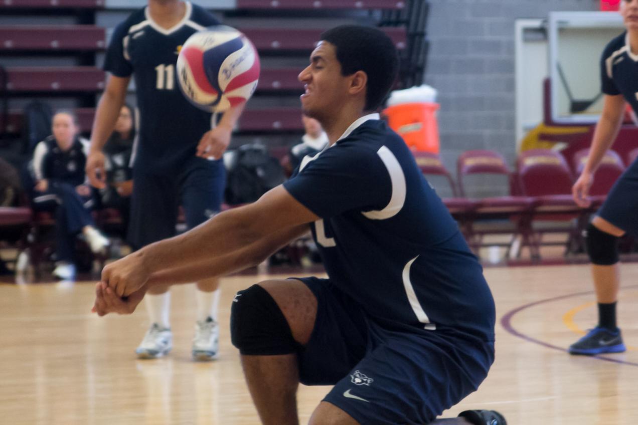 Bloodhounds Baffle Bears Volleyball in Straight-Set Loss at John Jay