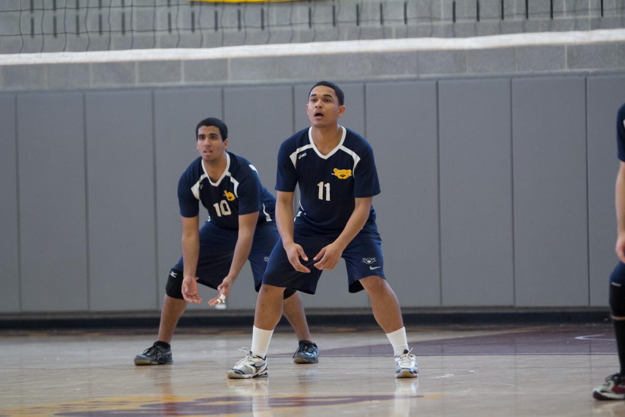 Bears Volleyball Can’t Hold Off Yeshiva, Falling In Five-Set Battle