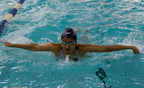 Lady Bears Swimming Downed by Sarah Lawrence