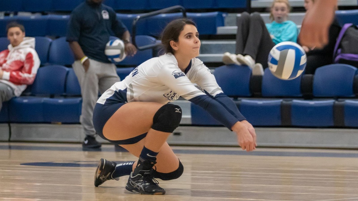 Women's Volleyball Bested by Mount Saint Mary