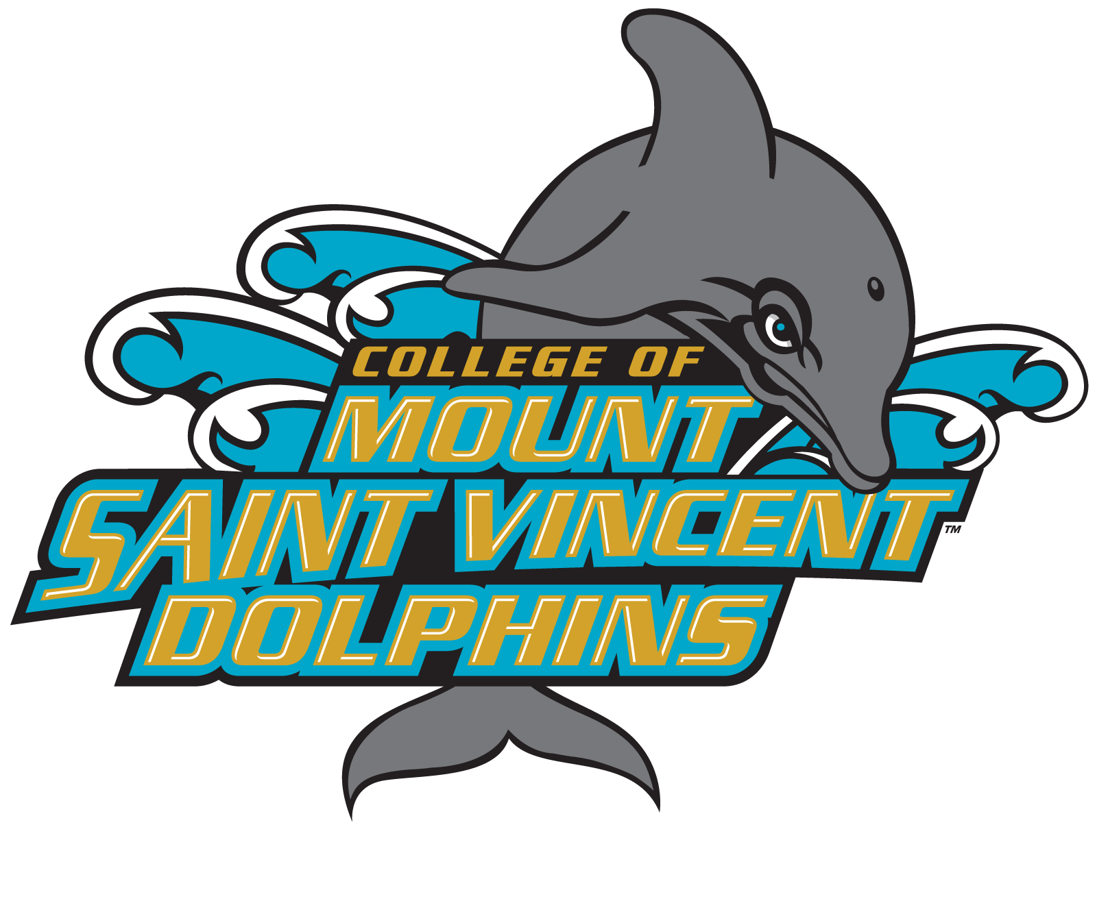 Mount Saint Vincent logo