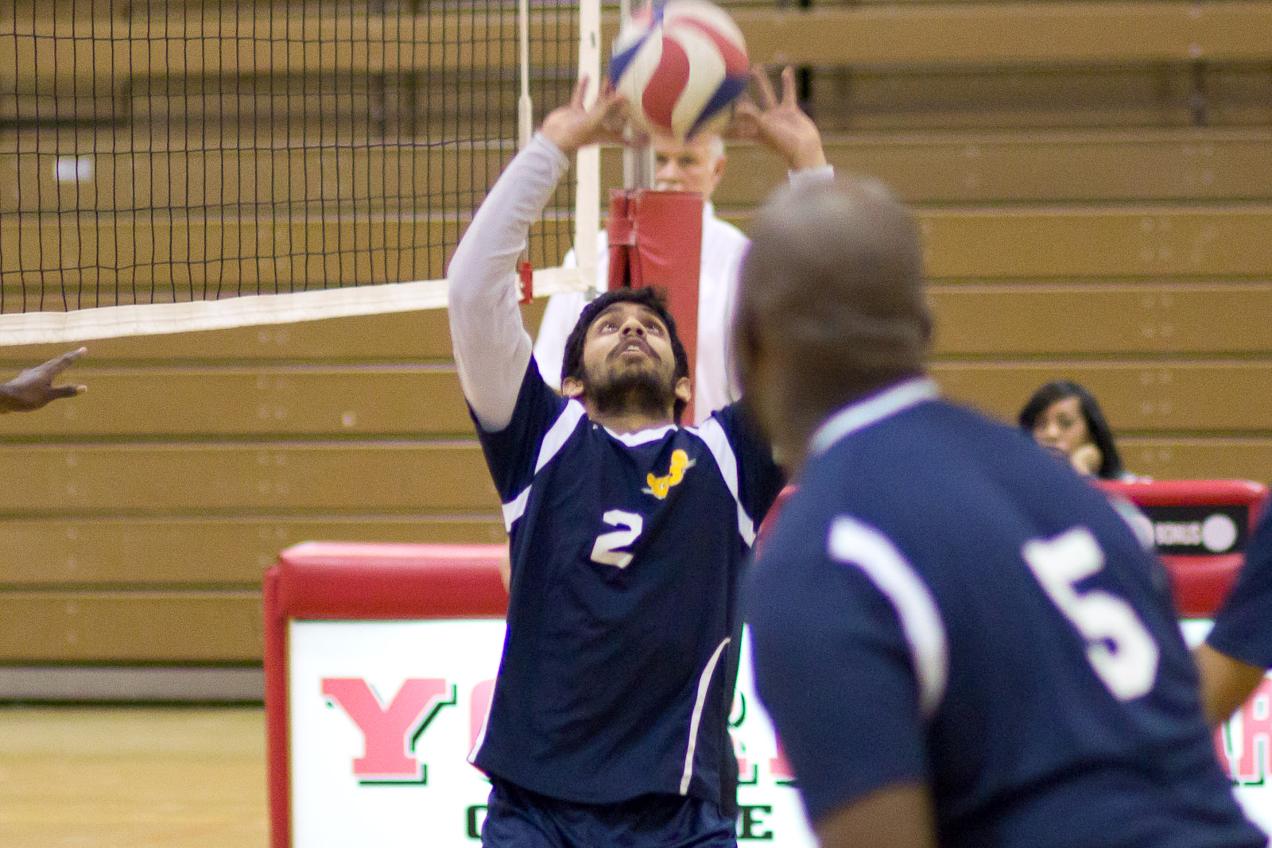Men's Volleyball Game Day: Bears vs. Brooklyn College & Medgar Evers