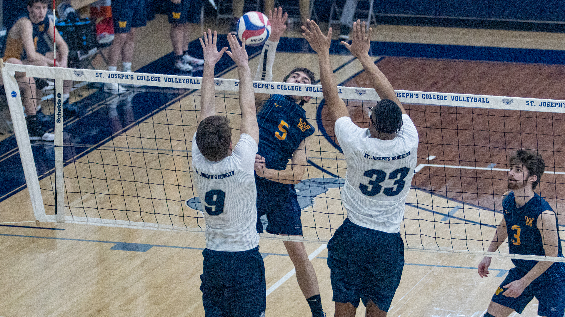 Men’s Volleyball Falls to Wilkes at Home
