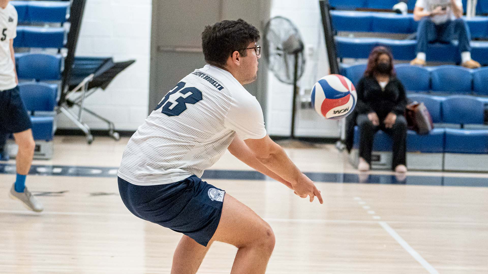 CCNY Holds Off Men's Volleyball in Three