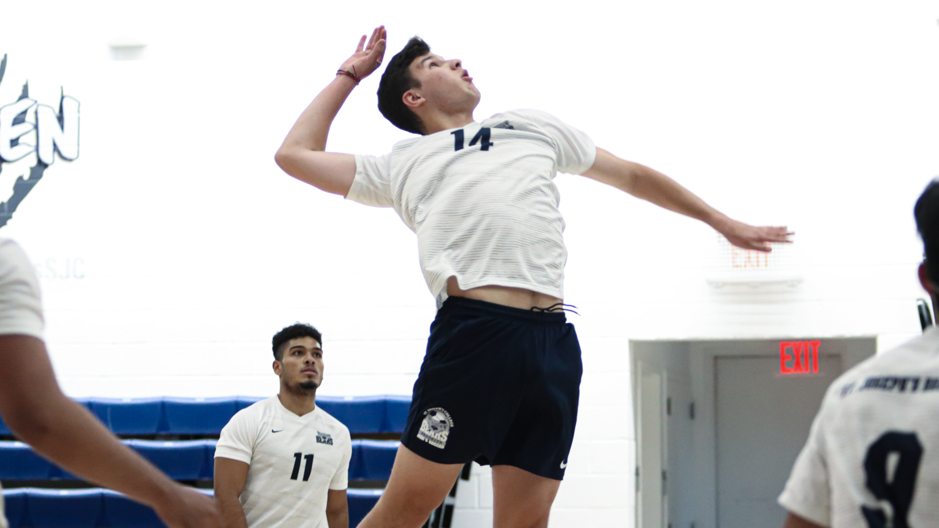 Men’s Volleyball Falls to New Jersey City at Home